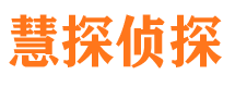 凌河市私家调查